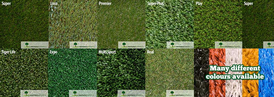 Types of Grass