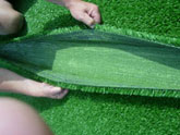 Sanctuary Synthetics artifical grass installation installing artificial grass