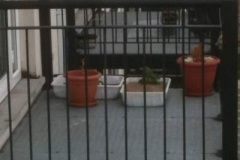 Finglas Balcony with artificial grass and hedging  (before)