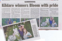 KildarePapers_June2011