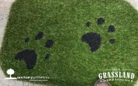 Artificial-Grass-Dog-Mats-Paw-Patterns