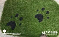 Artificial-Grass-Dog-Mats-Paw-Patterns