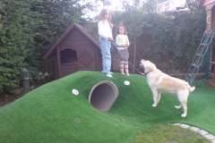 Family Dog Garden Naas