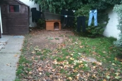 Terenure Dog Garden (before)