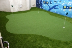 Putting Green Clontarf After