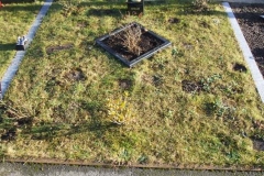 Mullingar Grave