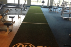 Gym Logo in Artificial Grass