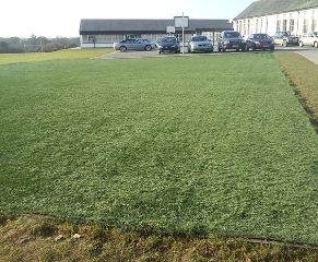 Artificial grass Gowran school