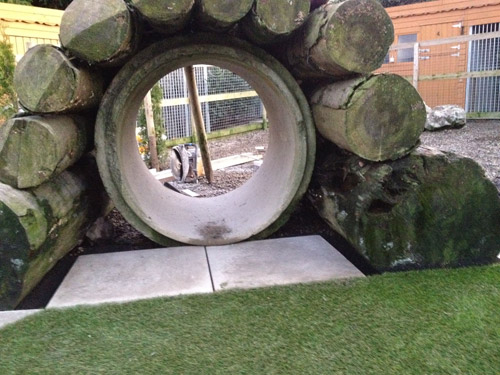 Barndarrag Kennels – Jan 2012