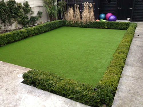Iona Road Back Garden – Feb 2012