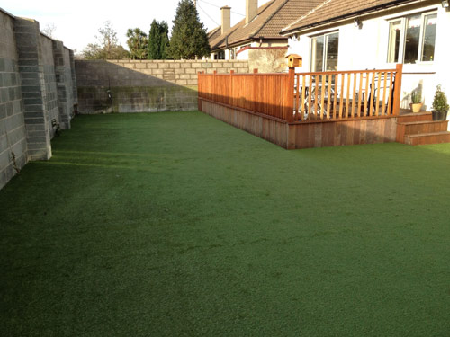 Stillorgan Back Garden Jan 2012