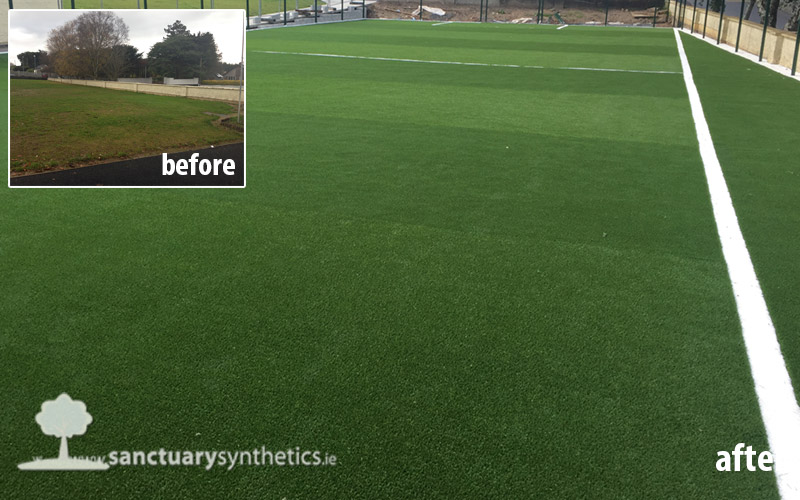 Parteen NS and X-Treme Sports Grass