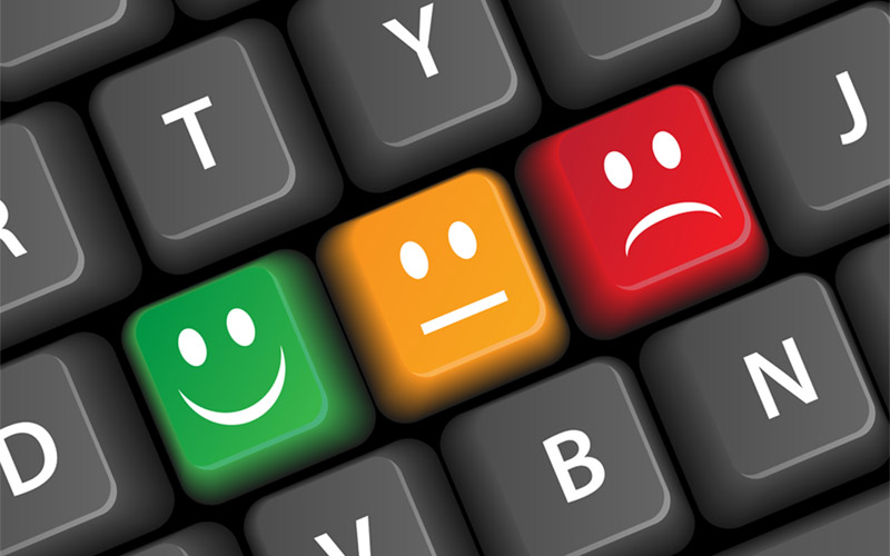 Sanctuary Synthetics Customer Survey 2017