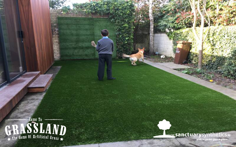 Artificial Grass for family garden