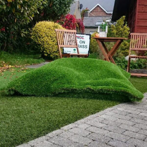 Hairy green beanbag