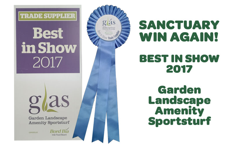 Sanctuary win another award!