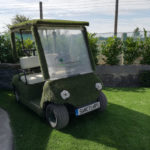 Grass Golf Buggy