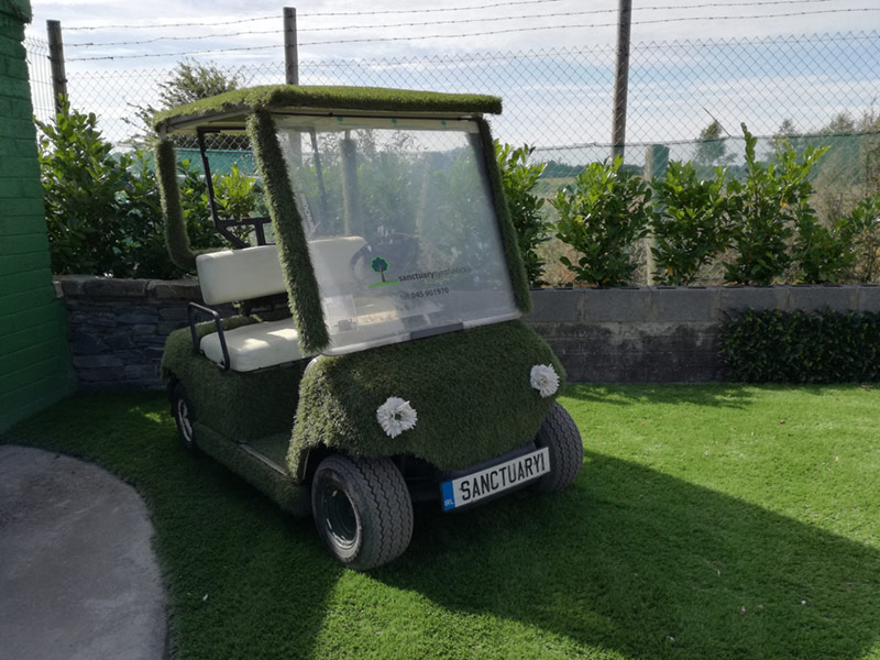 Grass Golf Buggy