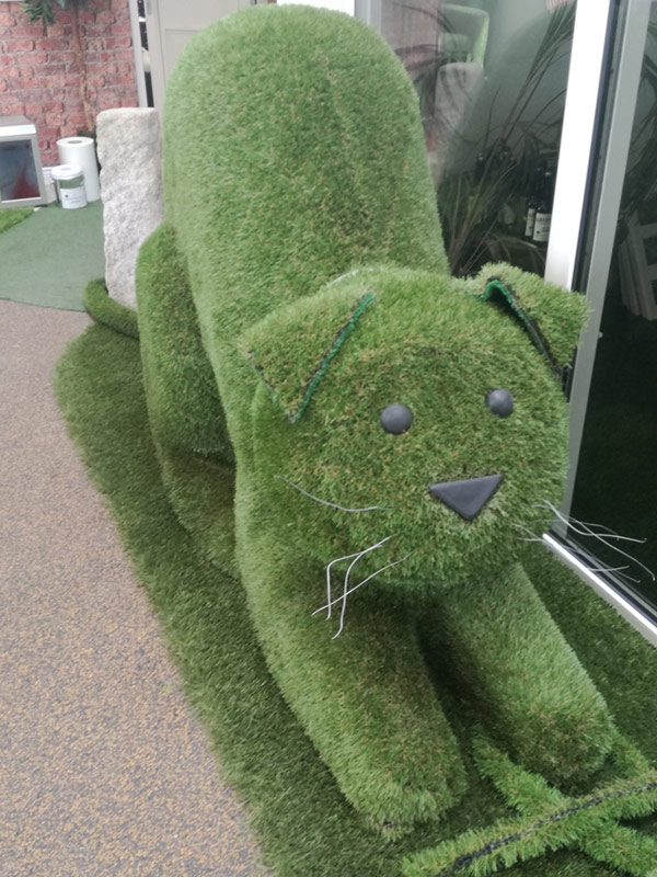 Large Grass Cat