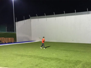 Sanctuary Synthetics Artificial Grass GAA Ball Walls