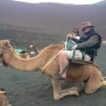 Mark On A Camel