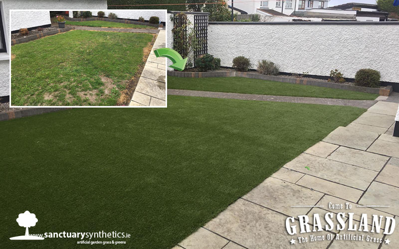Winter lawn Makeover