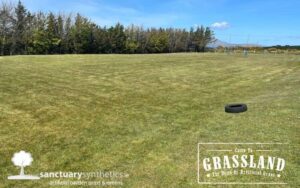 Killeen National School Before Artificial Grass