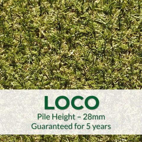 Sanctuary Loco Artificial Grass