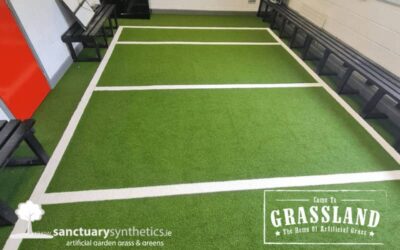 Muster Secondary School indoor artificial grass Sports