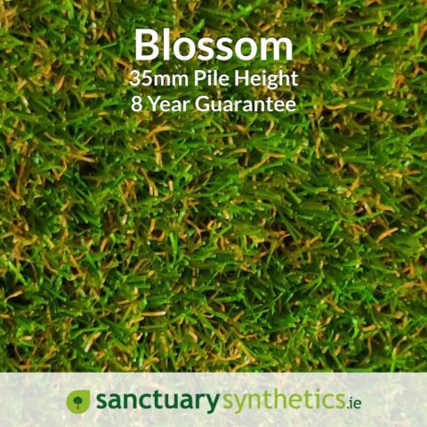 Sanctuary Blossom grass product picture