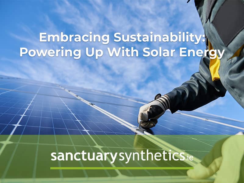 Sanctuary Synthetics: Powering up with solar