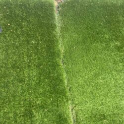 image of artificial grass not done correctly - seams showing