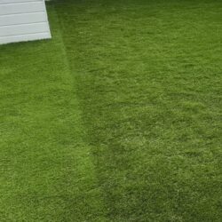 image of artificial grass not done correctly - seams showing as different production batches used in same garden